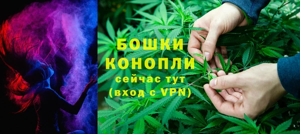прущие крисы Богданович